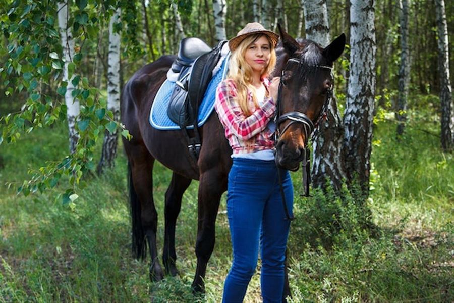 Find det rette dækken: Hvordan du beskytter din hest mod vejr og vind