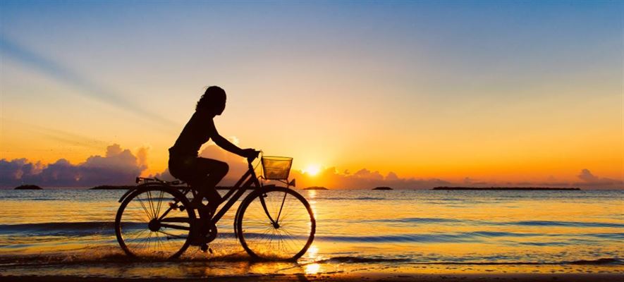 Alt du behøver at vide om cykelhandleren i Skjern